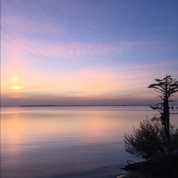 Meet your Posher, Karen - Picture 5 of 6